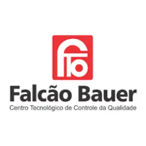Falcão Bauer